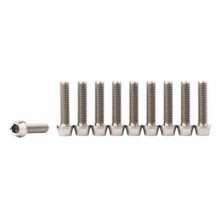 Titanium M6X25MM Allen Bolts with Tapered Head per 10